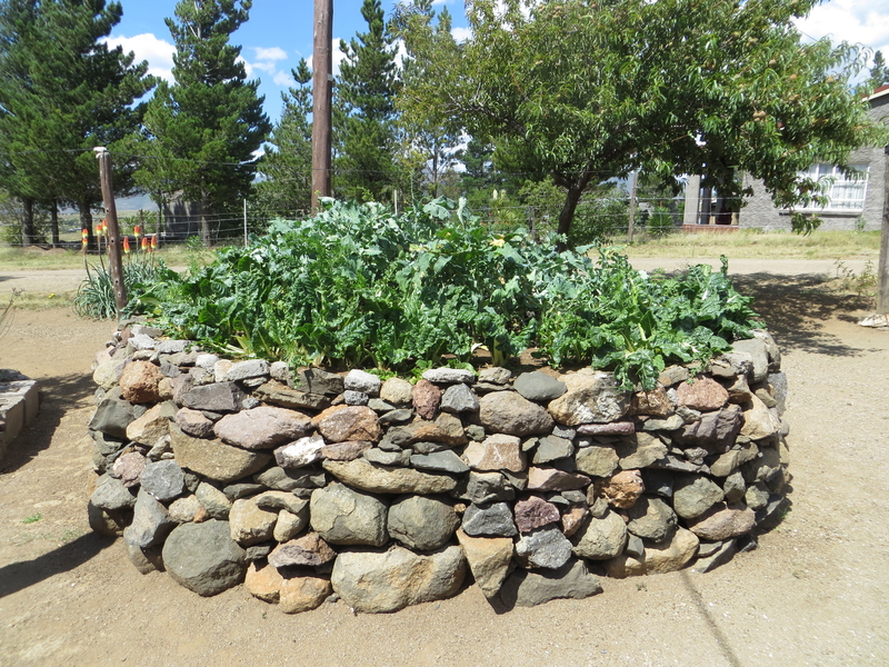 Keyhole garden in Lesotho