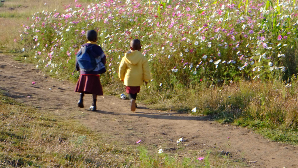 Two young children in Lesotho walk alongside a field filled with blooming Cosmos.